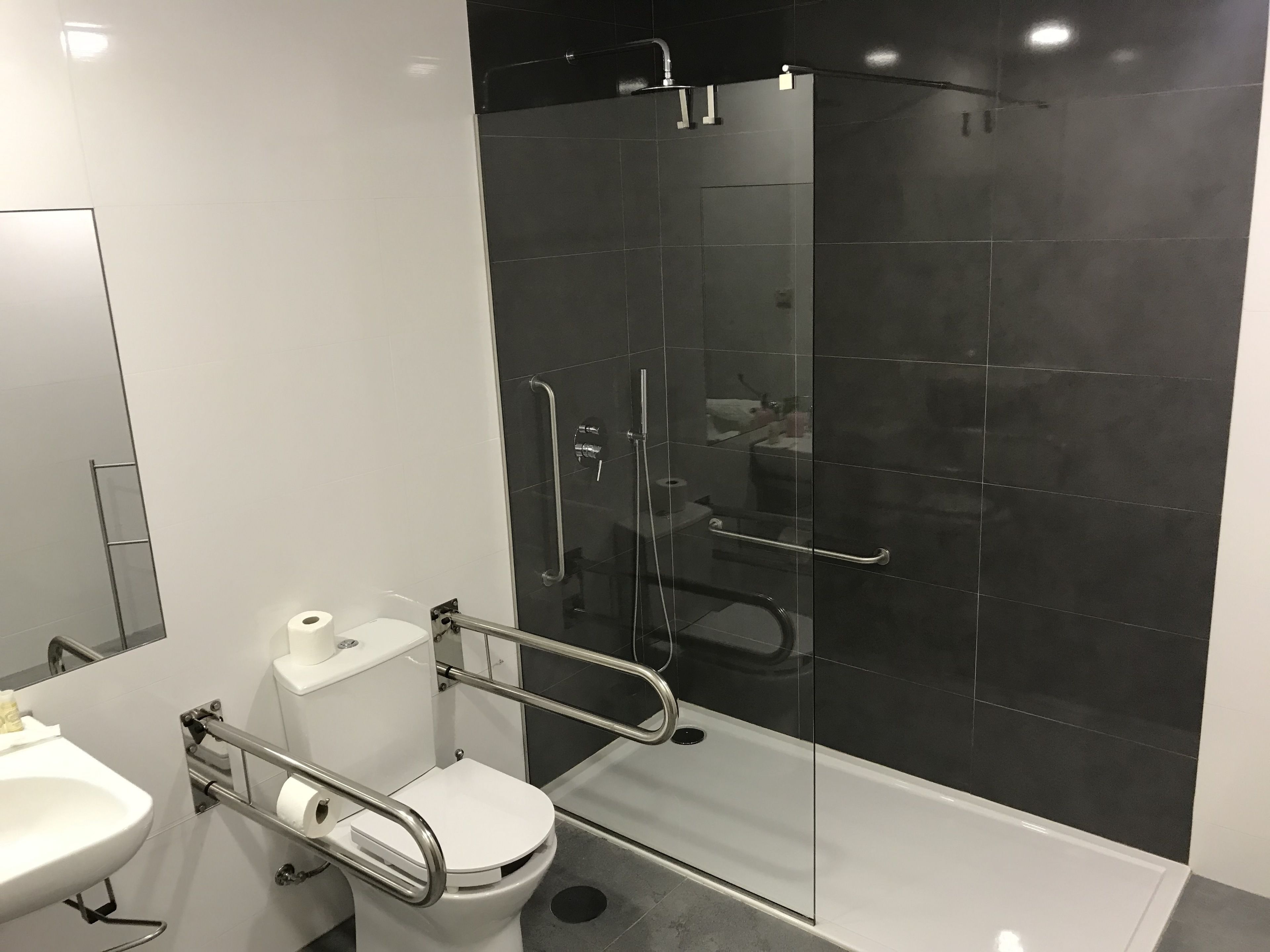 twin room (acessible) | bathroom | separate bathtub and shower, free toiletries, hair dryer, towels