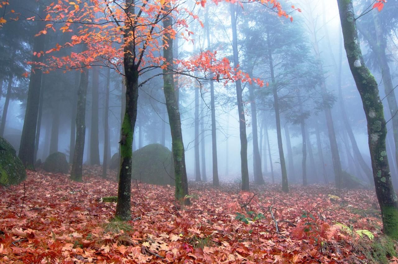 Foto - Hotel Rural da Freita