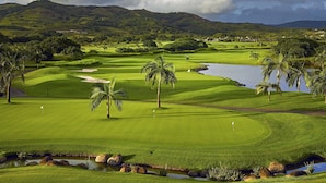 Un campo de golf con un cuerpo de agua, palmeras y montañas a lo lejos.
