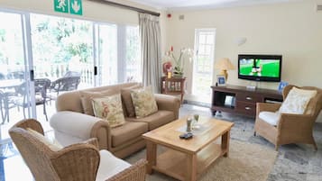 Flat-screen TV