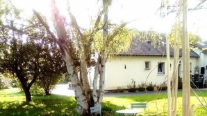 A grassy area with a tree, a bench, and a building in the background.