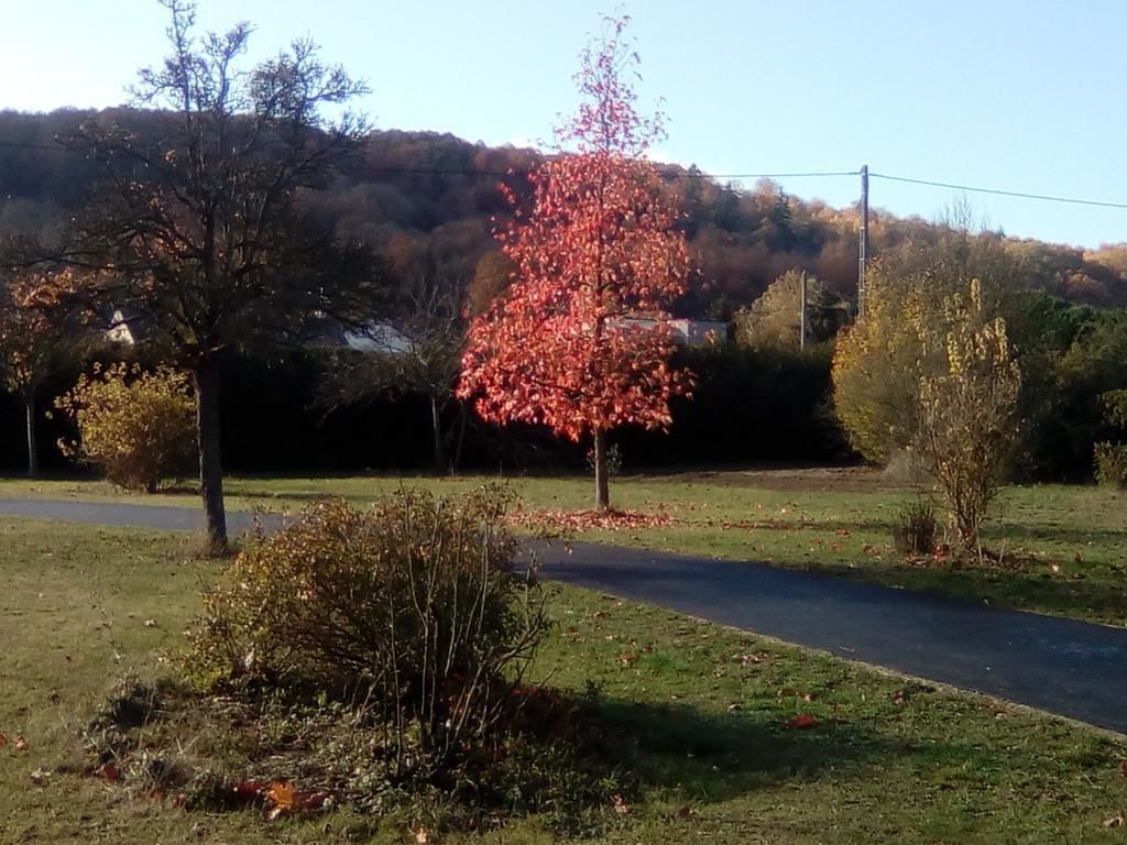 Un parque con un sendero pavimentado, árboles y una zona verde.