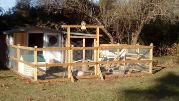 A wooden chicken coop with a fenced area and a small shelter.