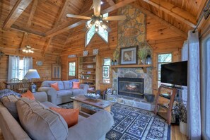 Televisión de pantalla plana, chimenea, reproductor de DVD