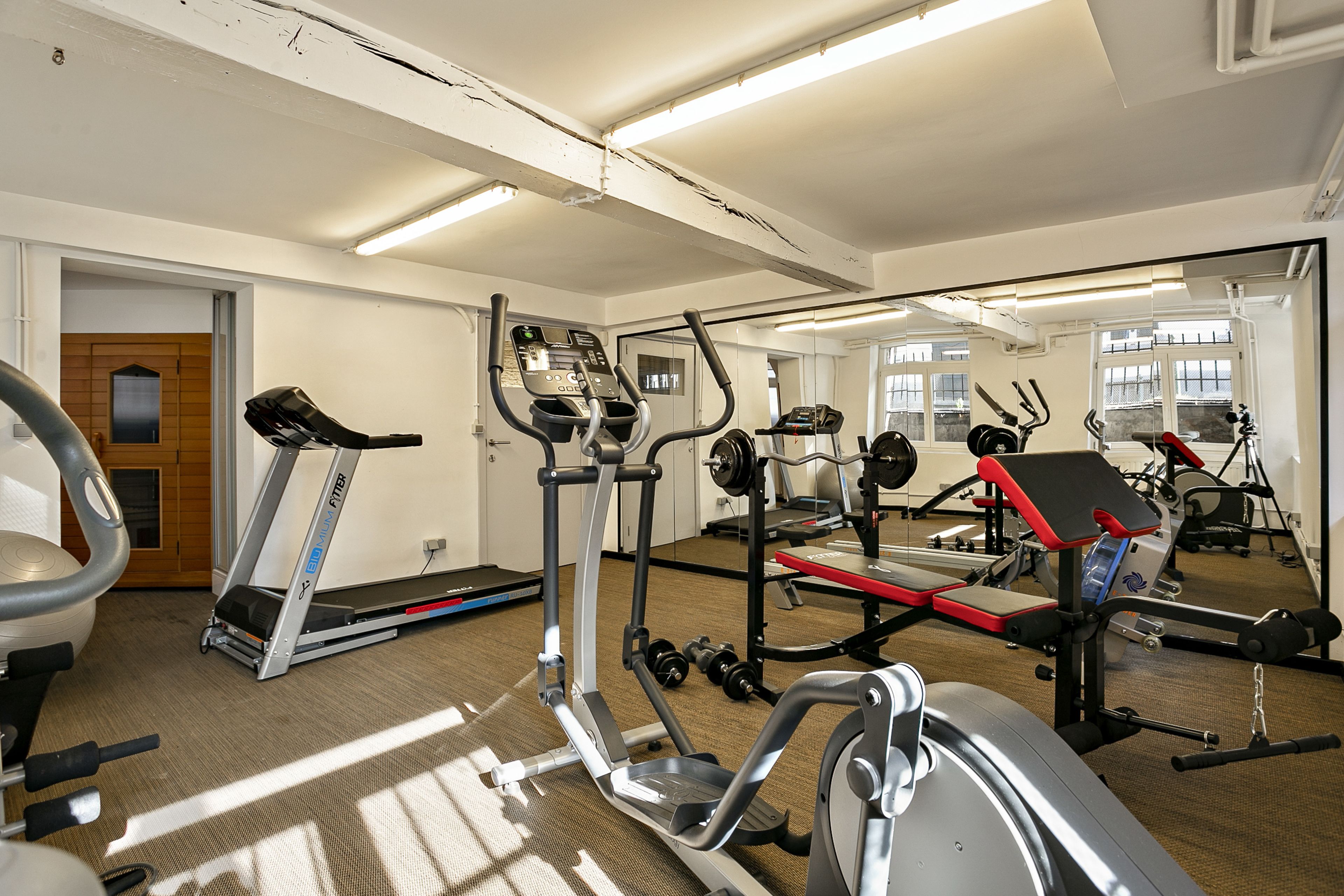 A gym with treadmills, elliptical machines, and weight benches.