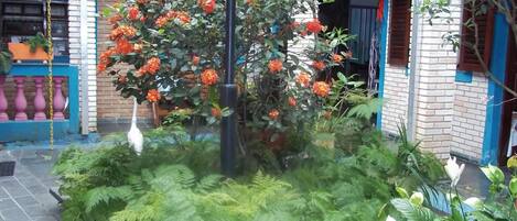 Área da propriedade