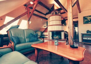 Fernseher, Kamin, DVD-Player, BĂŒcher