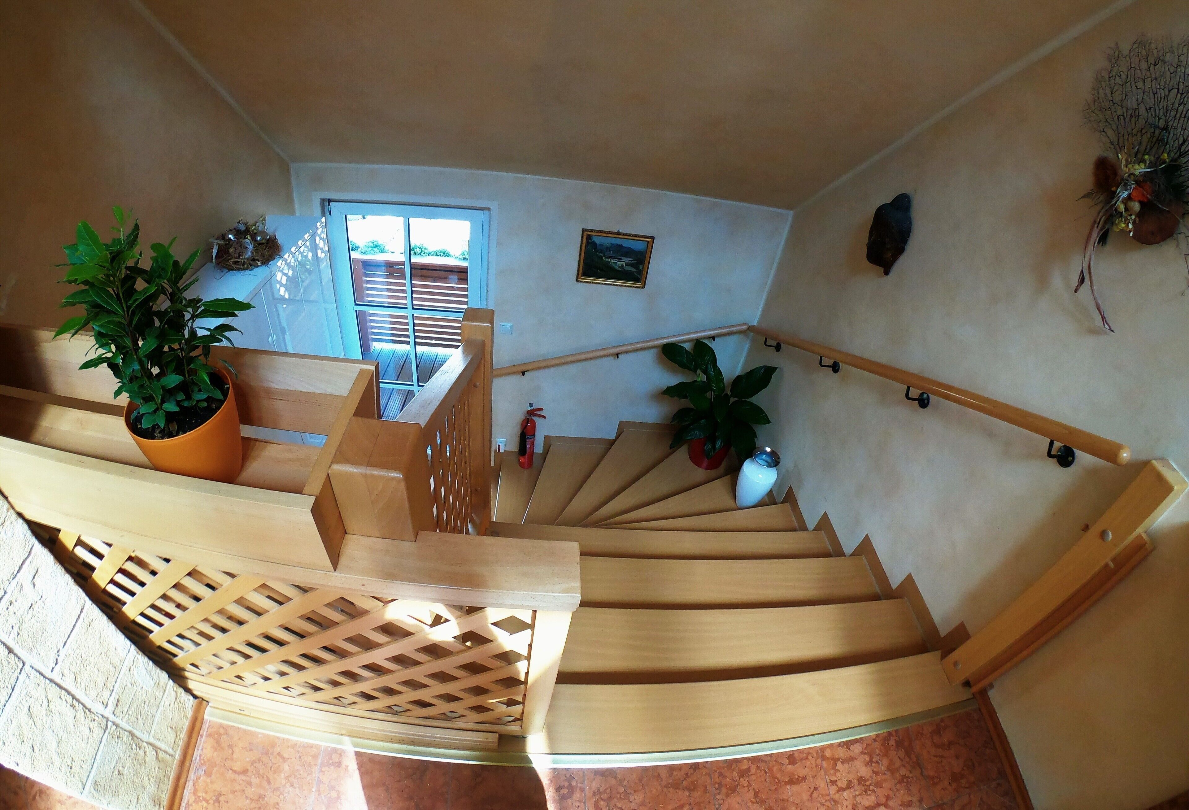 A wooden staircase with a handrail, potted plants, and a fire extinguisher.