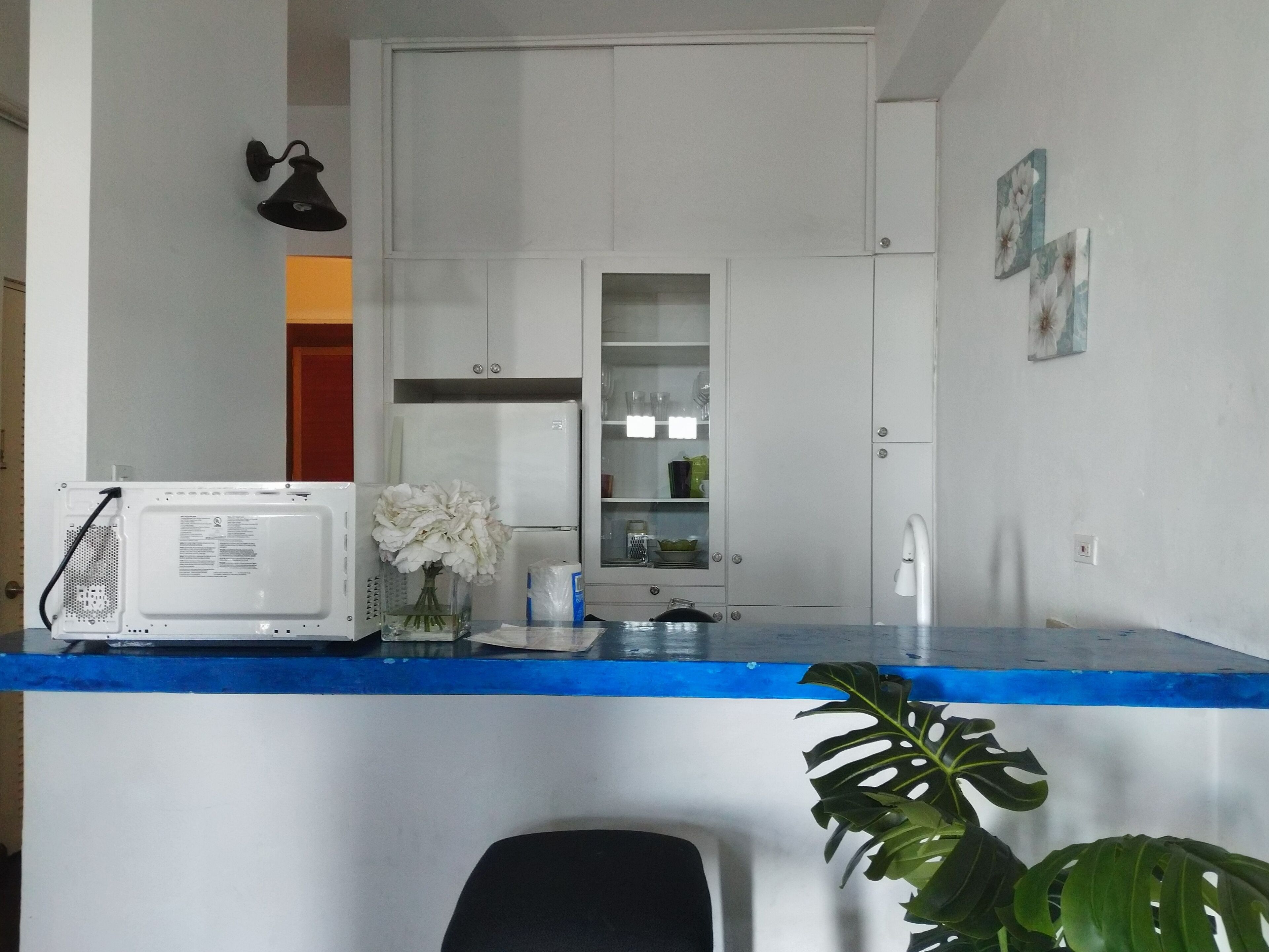 A kitchen with white cabinets, a microwave, a sink, and a plant.