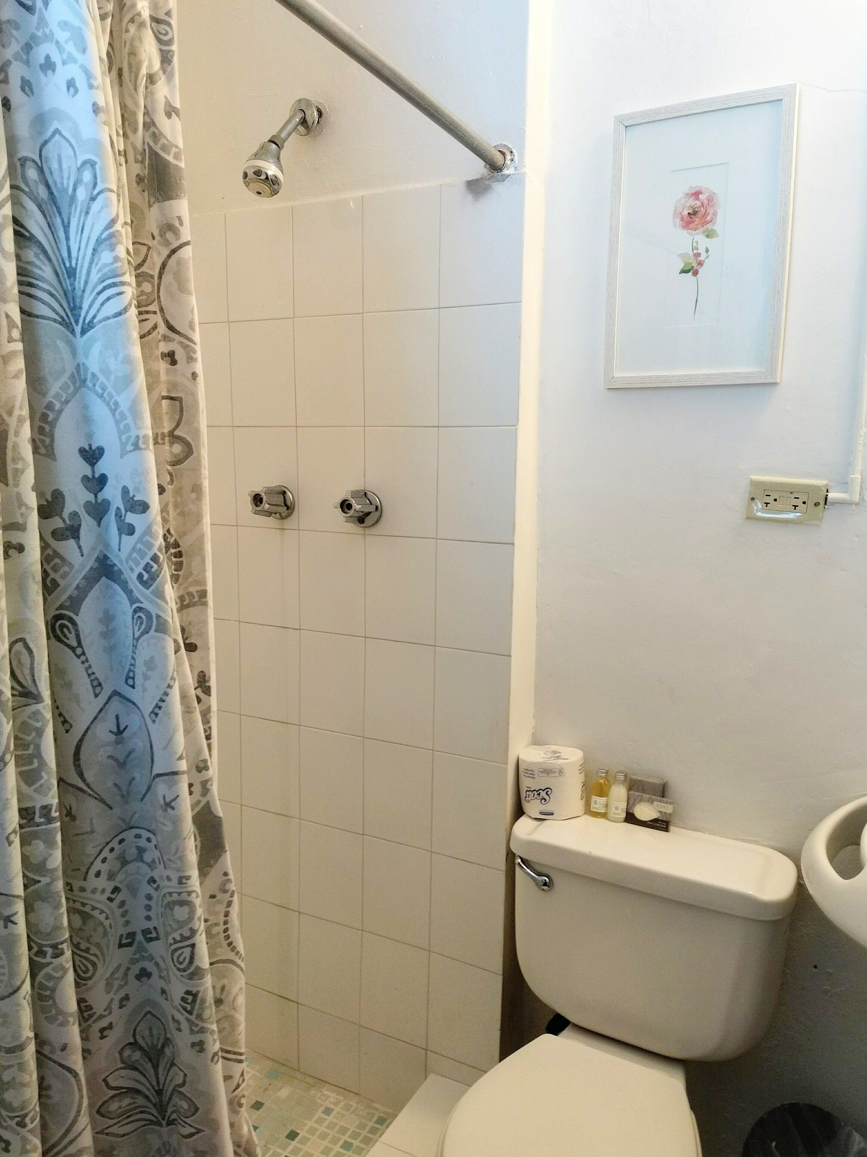 Un baño con ducha, inodoro y un cuadro en la pared.