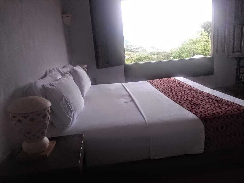 A bedroom with a bed, pillows, a bedside table with a lamp, and a window with a view of greenery.