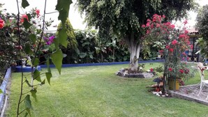 Garden - Finca Fabiola (San Andrés Cholula)