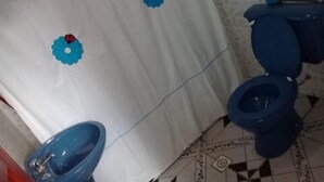 Un baño con cortina de ducha blanca, inodoro y lavamanos azules.