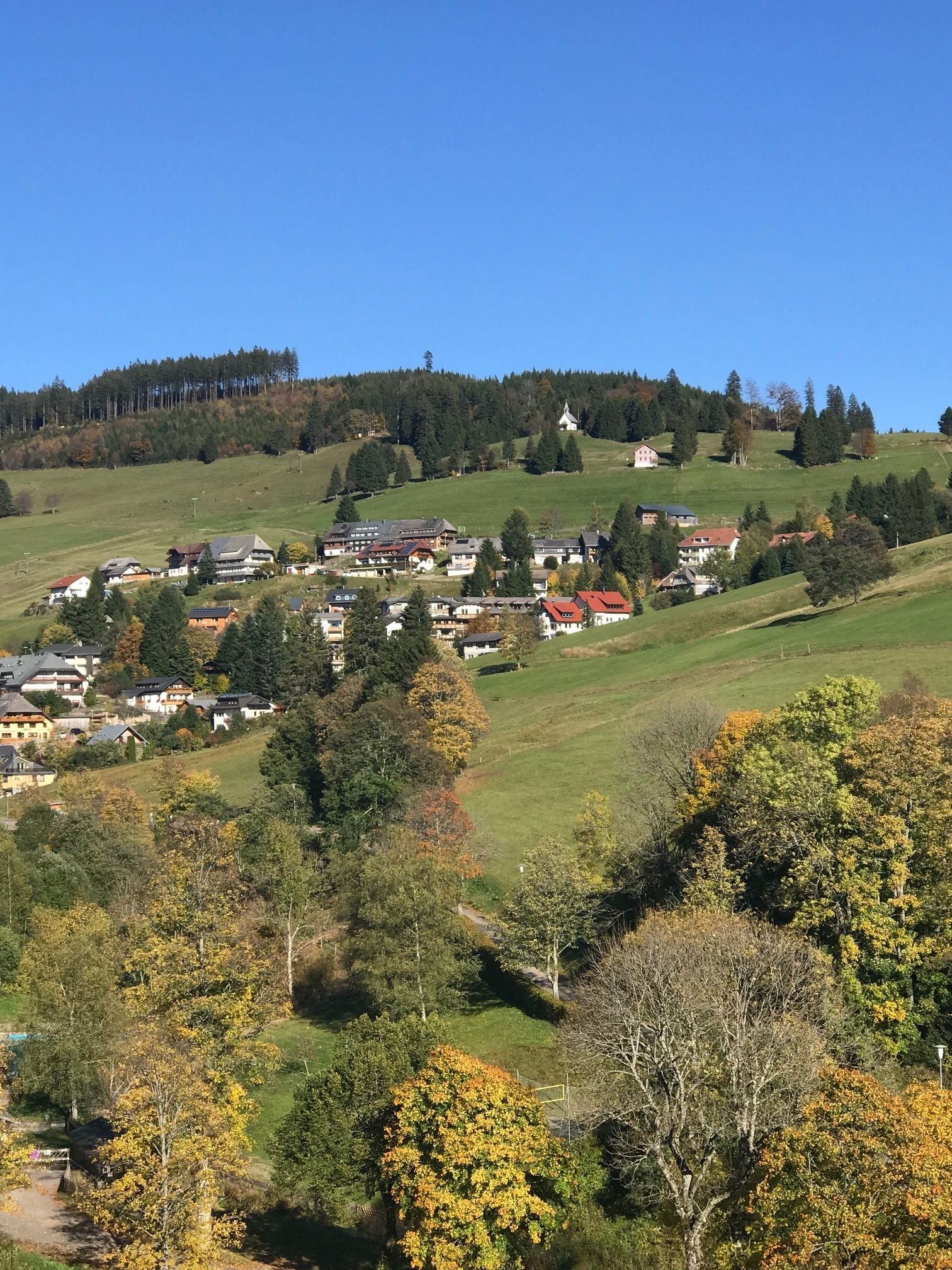 Fjellutsikt