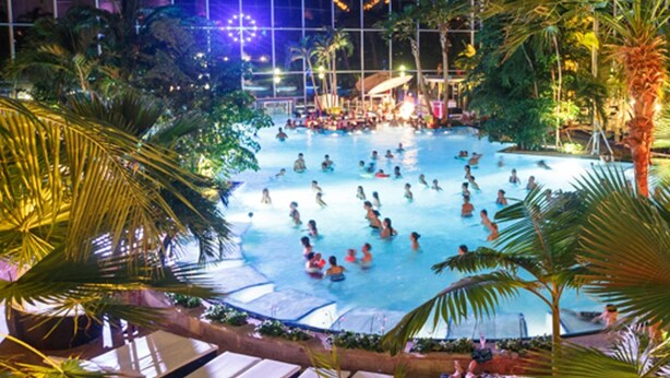 A large indoor swimming pool surrounded by palm trees and lounge areas. - Residenz Schauinsland (Todtnau)