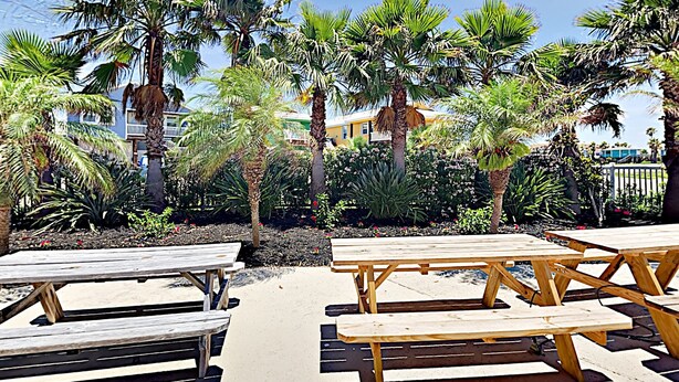 Property grounds - The Naughty Monkey (Port Aransas)
