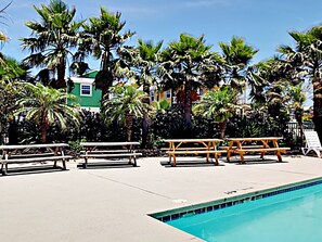 Pool - The Naughty Monkey (Port Aransas)