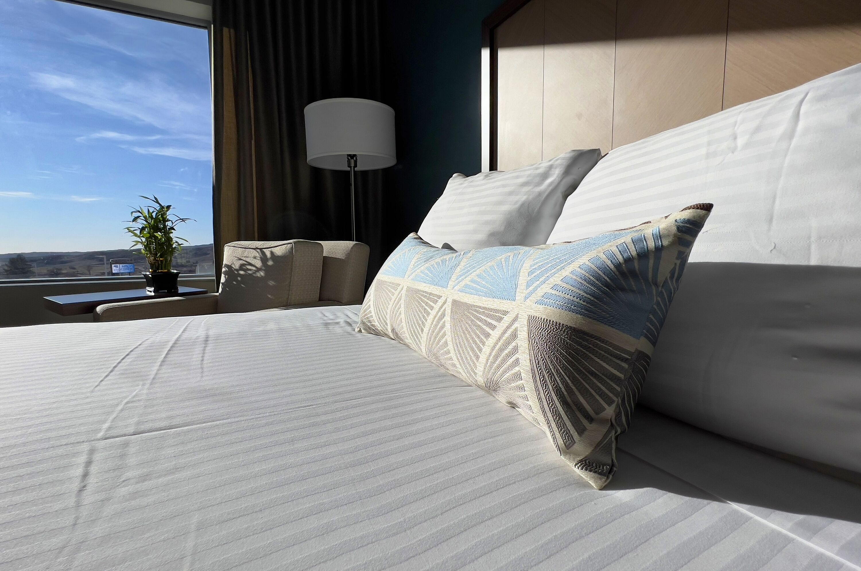 premium room, 1 king bed, non smoking, mountain view | hypo-allergenic bedding, in-room safe, desk, laptop workspace