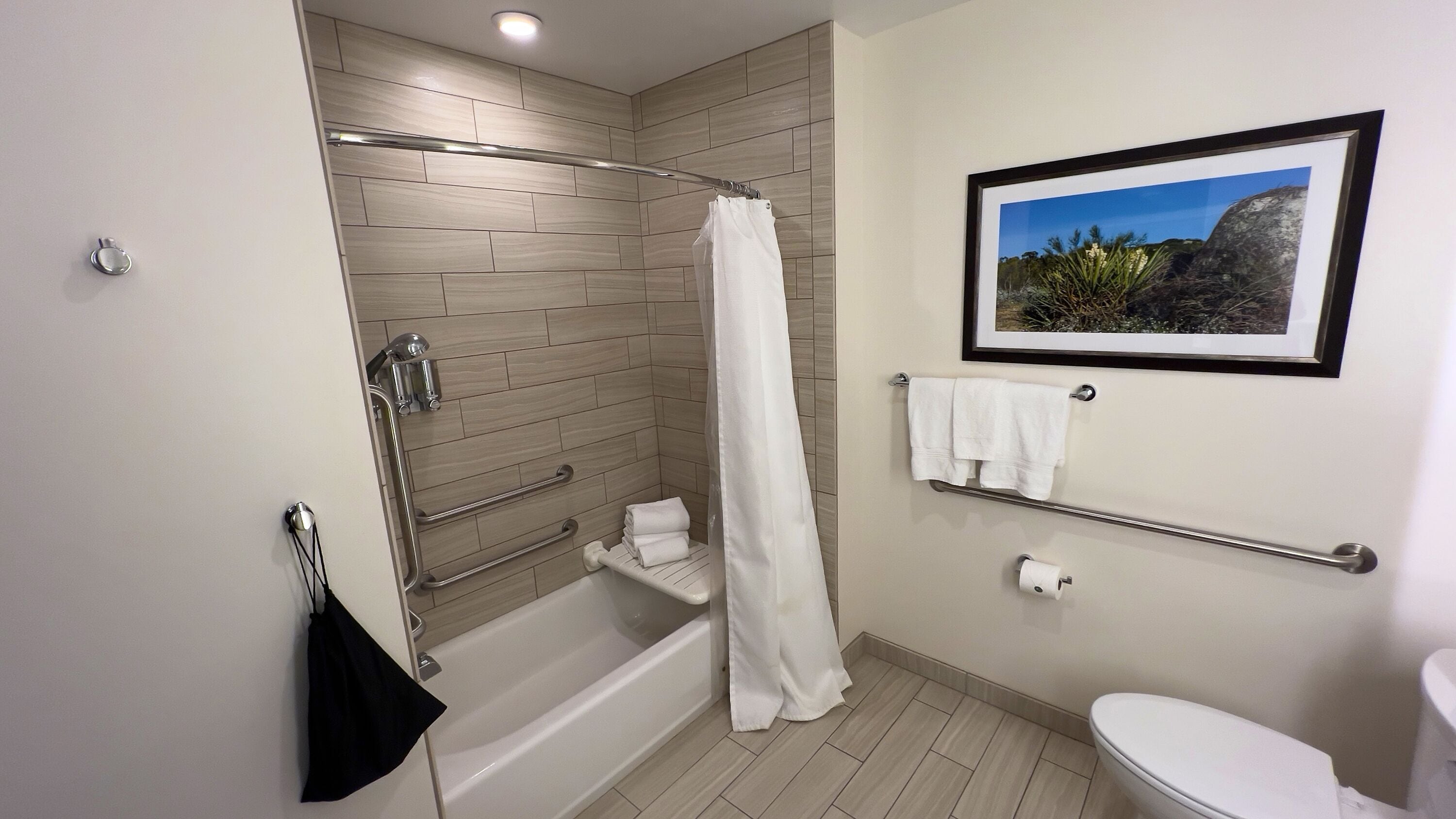 deluxe room, 2 queen beds, accessible, non smoking | bathroom | hydromassage showerhead, free toiletries, hair dryer, towels