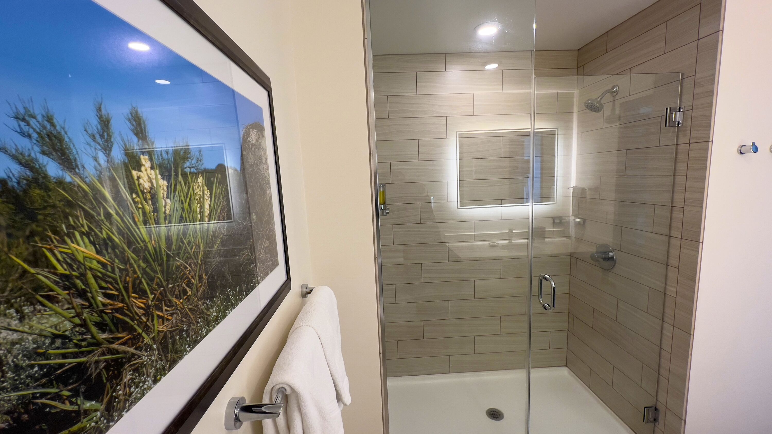 hydromassage showerhead, free toiletries, hair dryer, towels