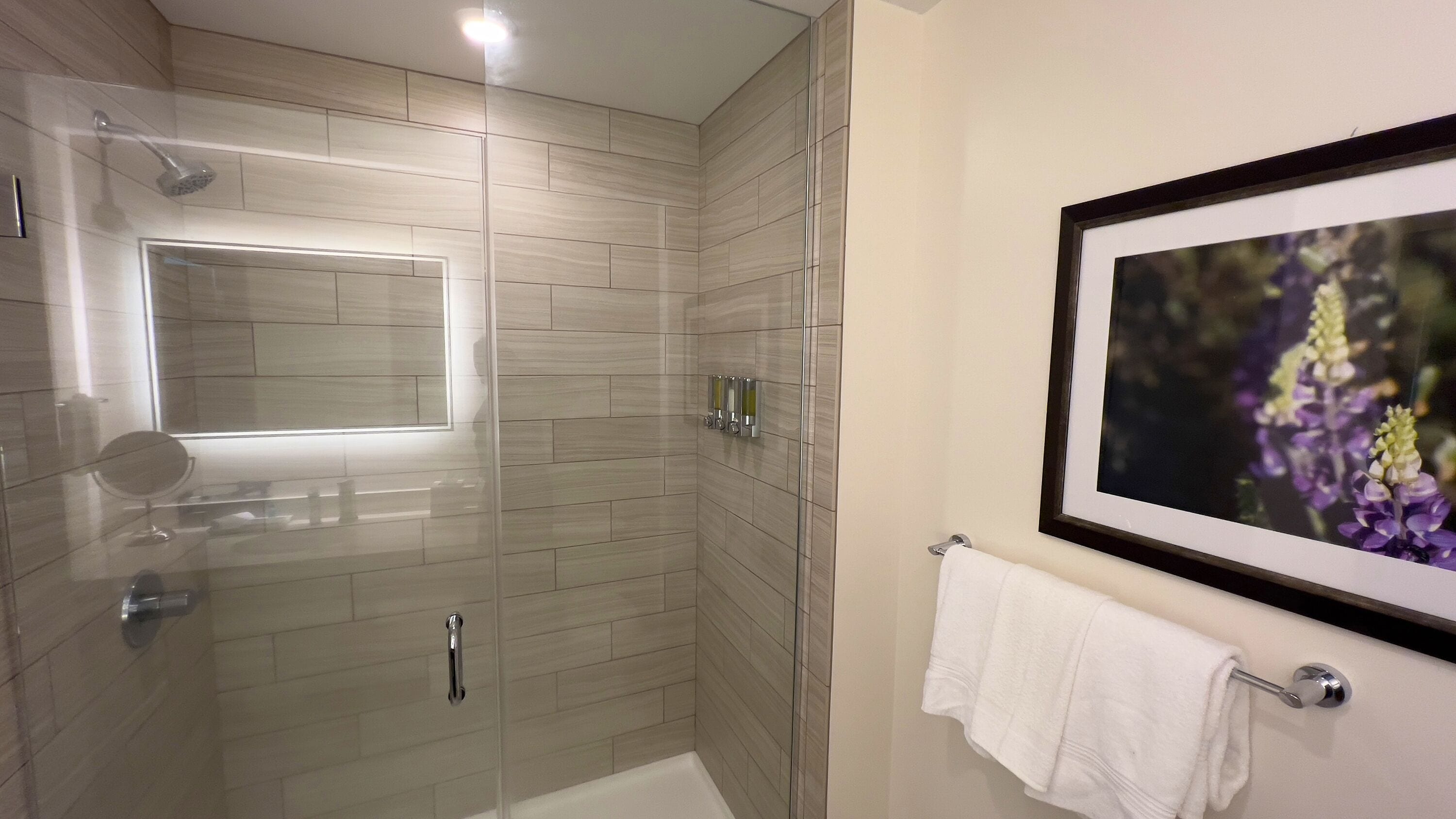 hydromassage showerhead, free toiletries, hair dryer, towels