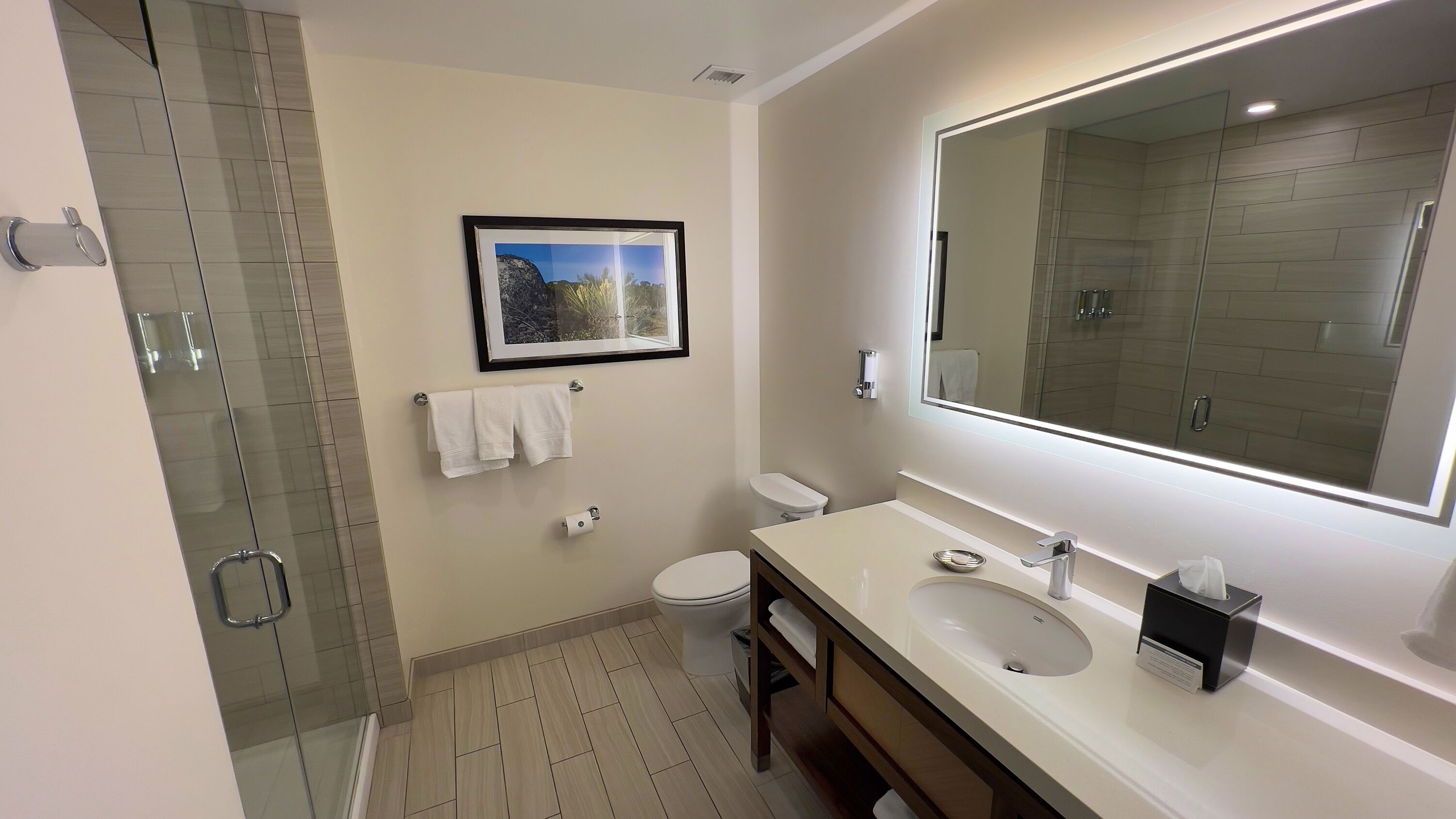 A modern bathroom with a glass shower enclosure, a toilet, a sink with a mirror, and a framed picture on the wall.