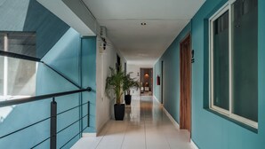 A hallway with teal walls, a staircase with black railings, and potted plants. - Hotel Casa Nova Mérida (Mérida)