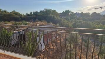 A balcony with a metal railing, overlooking a residential area with houses and trees.