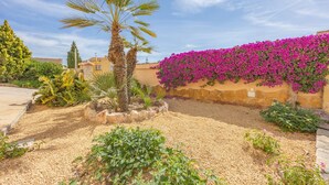 Un jardín con una palmera, un sendero de grava y una pared cubierta de flores púrpuras.