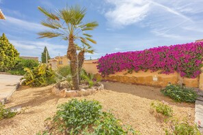 A garden with a palm tree, gravel path, and a wall covered with purple flowers. - Villa Almendros - PlusHolidays (Calpe)