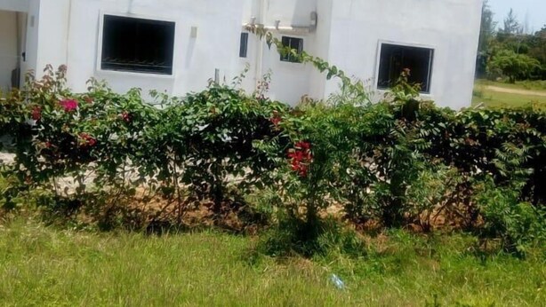 Un edificio blanco con múltiples ventanas y techo plano, rodeado de un seto cuidado y césped.