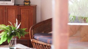 Un salon avec un meuble en bois, un téléviseur, un fauteuil en osier et une plante en pot.