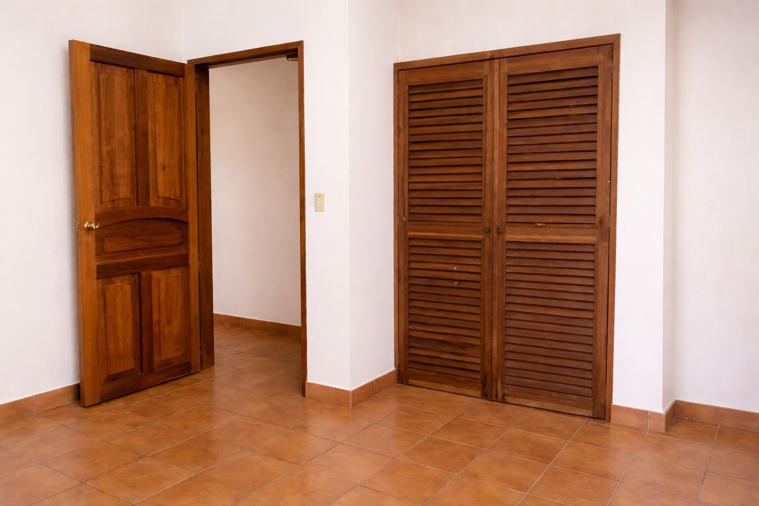 A hallway with a wooden door and a wooden closet.