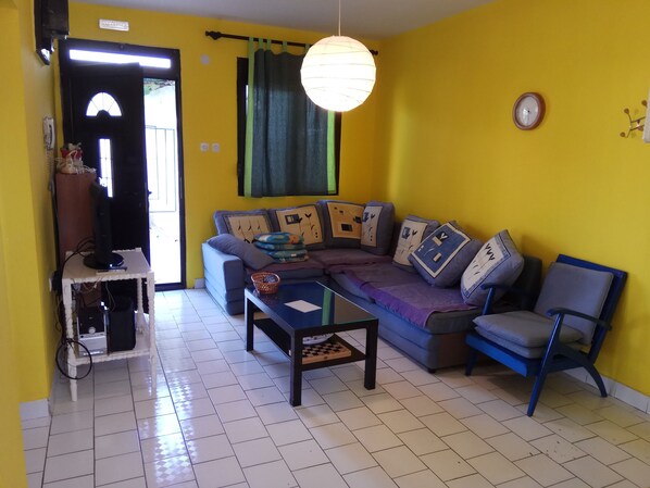 TV, fireplace, video games, DVD player