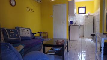 Télévision, cheminée, jeux vidéo, lecteur de DVD