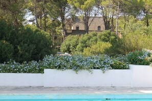 Property grounds - Villa Galeasi - Splendid Villa with swimming pool, bowling alley, greenery, relaxation ... (Grottaglie)
