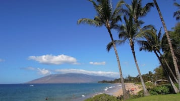 بالقرب من الشاطئ، كراسي للتشمس، مناشف للشاطئ