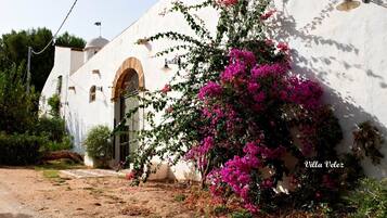 DĂ©tail de lâextĂ©rieur