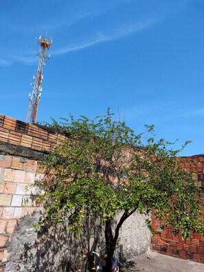 Unclassified image, 5 of 8, button