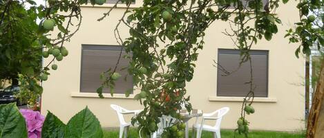 屋外ダイニングエリア