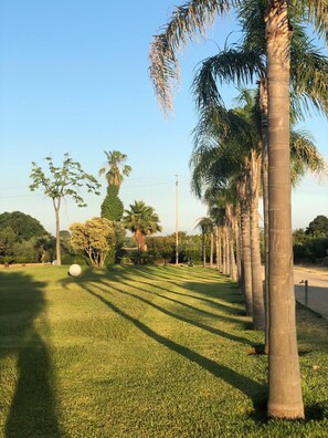 Área da propriedade
