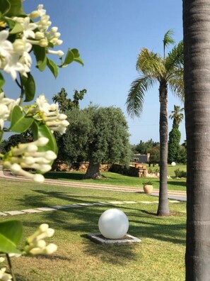 Terrein van de accommodatie