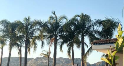 Orange house with large park and swimming pool.