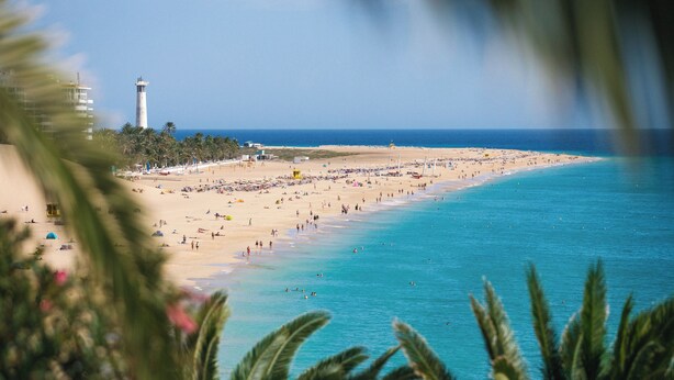 Uma praia com um farol, palmeiras e uma orla arenosa.