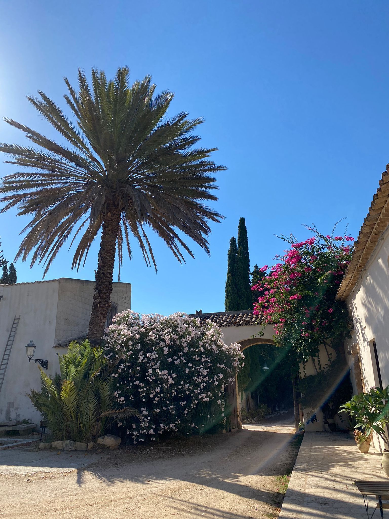 Parco della struttura