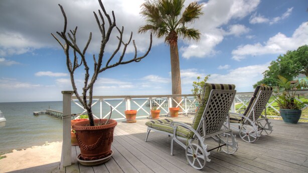 A wooden deck with two lounge chairs, a palm tree, and a view of the ocean.