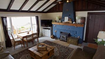 TV, fireplace, DVD player, books