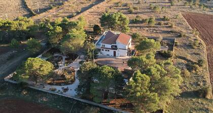 Villa 2 Fields aamiaismajoitus