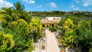 A pathway leading to a building surrounded by tropical vegetation.