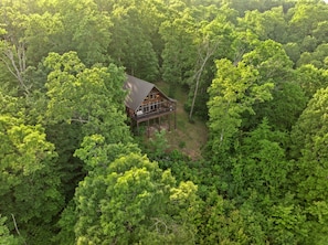 A cabin surrounded by dense forest.